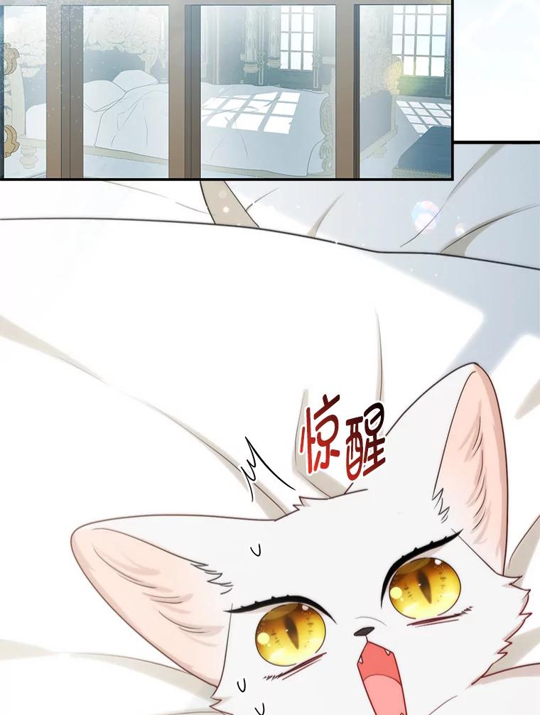《大公家的狐狸皇女》11.各自的朋友 第2页