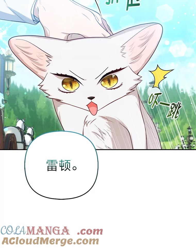 《大公家的狐狸皇女》11.各自的朋友 第37页