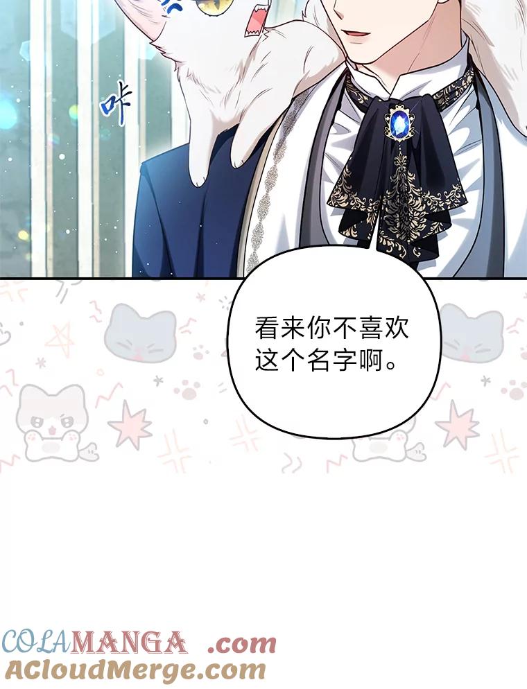《大公家的狐狸皇女》11.各自的朋友 第89页