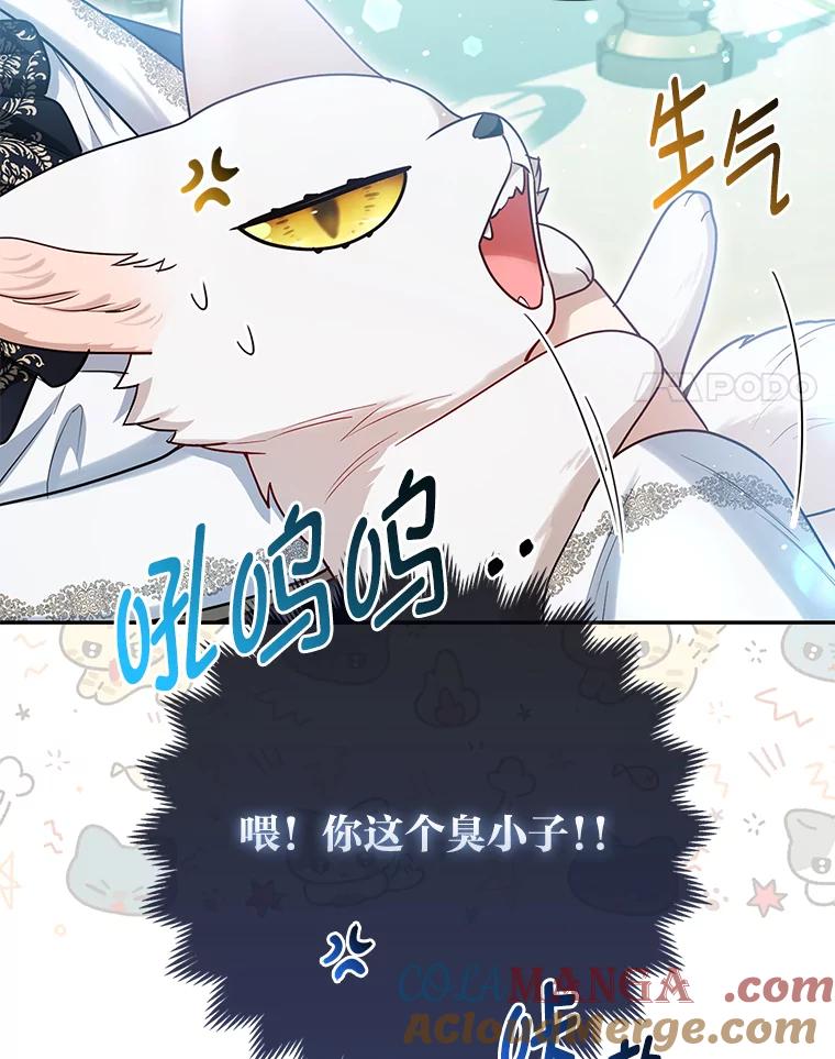 《大公家的狐狸皇女》11.各自的朋友 第41页