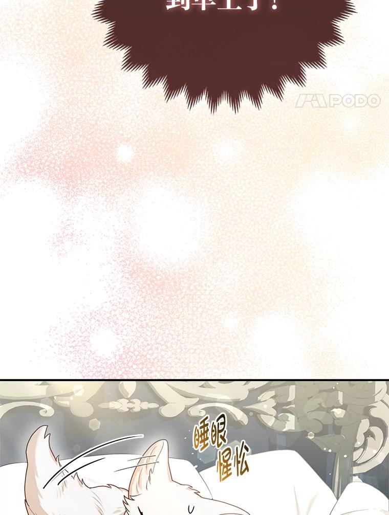 《大公家的狐狸皇女》11.各自的朋友 第4页