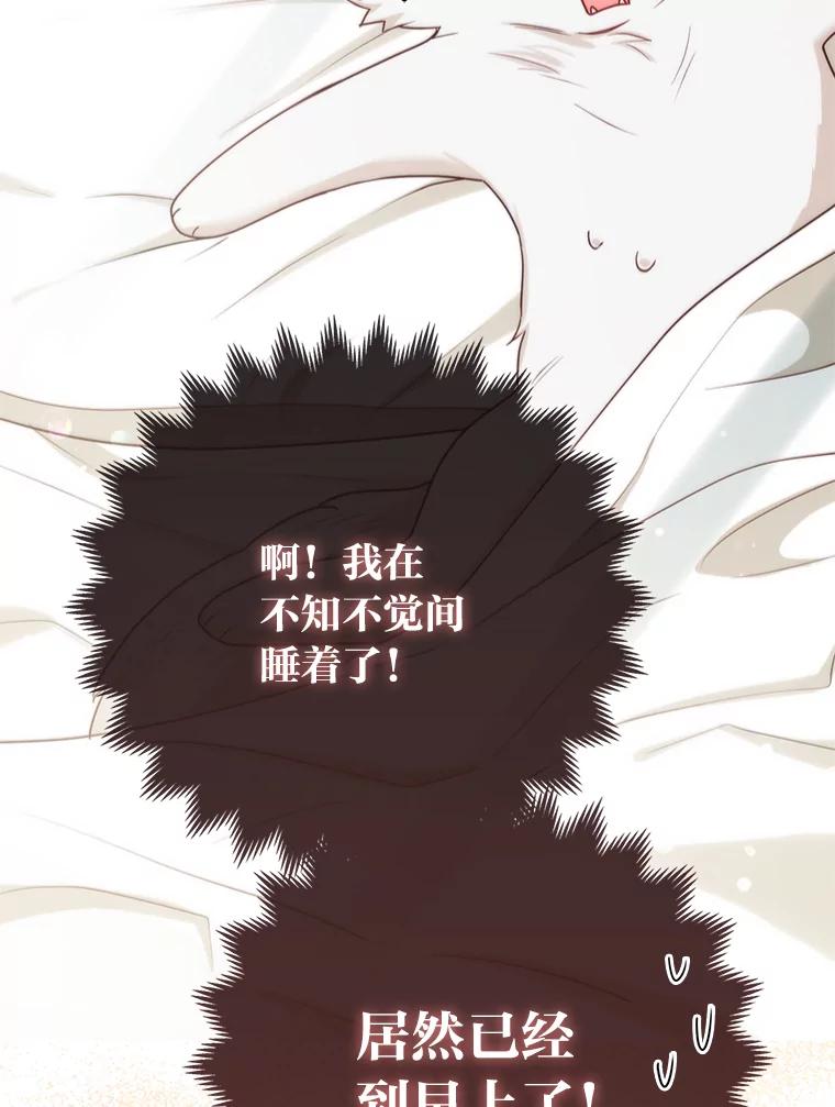 《大公家的狐狸皇女》11.各自的朋友 第3页