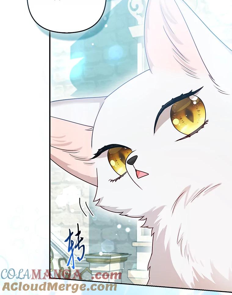 《大公家的狐狸皇女》11.各自的朋友 第85页
