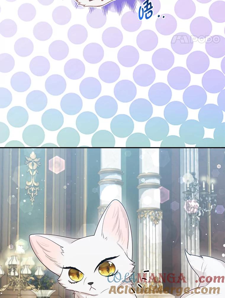 《大公家的狐狸皇女》12.狐狸的撒娇卖萌 第109页