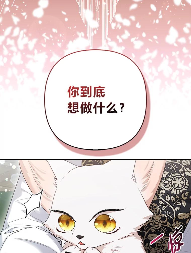 《大公家的狐狸皇女》12.狐狸的撒娇卖萌 第100页