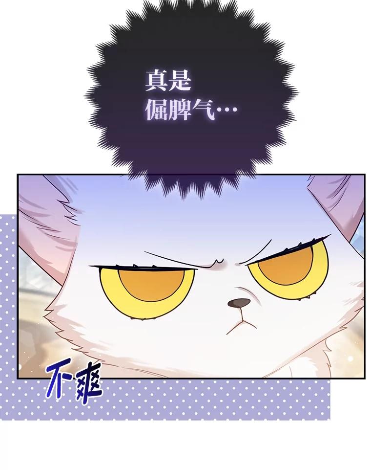 《大公家的狐狸皇女》12.狐狸的撒娇卖萌 第72页