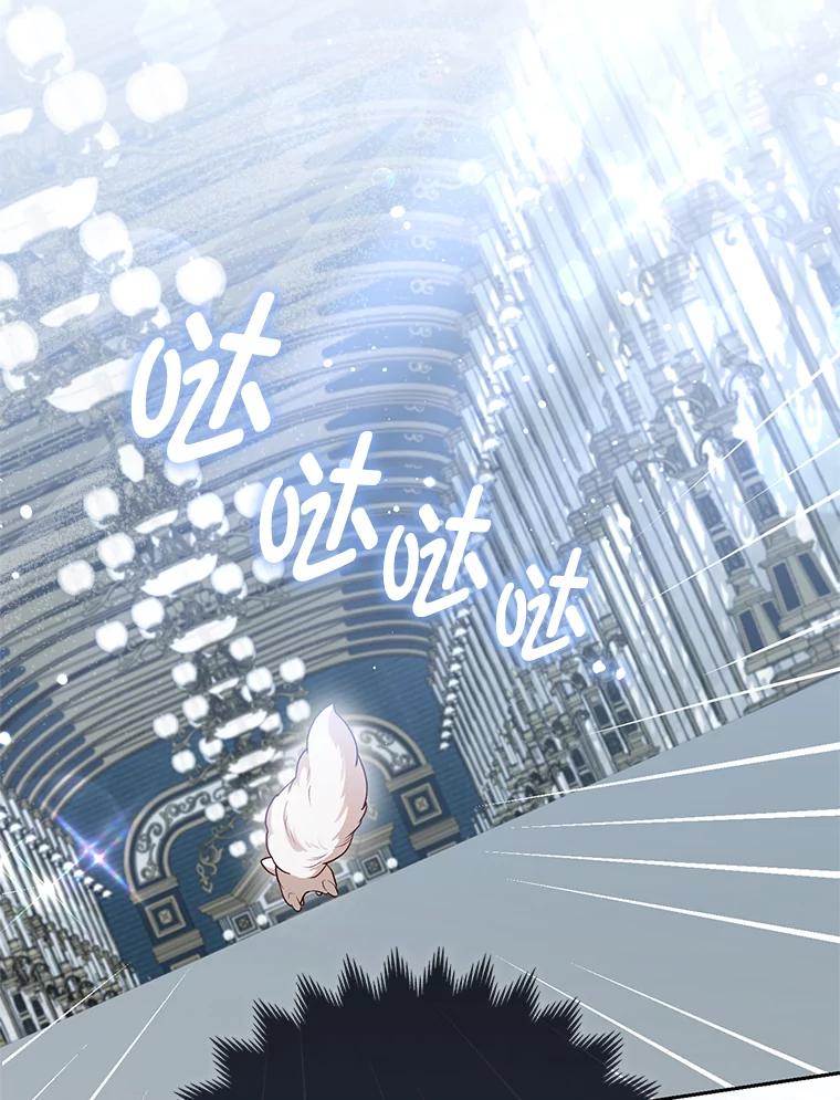 《大公家的狐狸皇女》12.狐狸的撒娇卖萌 第18页