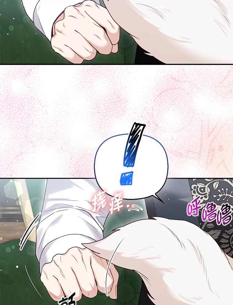 《大公家的狐狸皇女》12.狐狸的撒娇卖萌 第91页