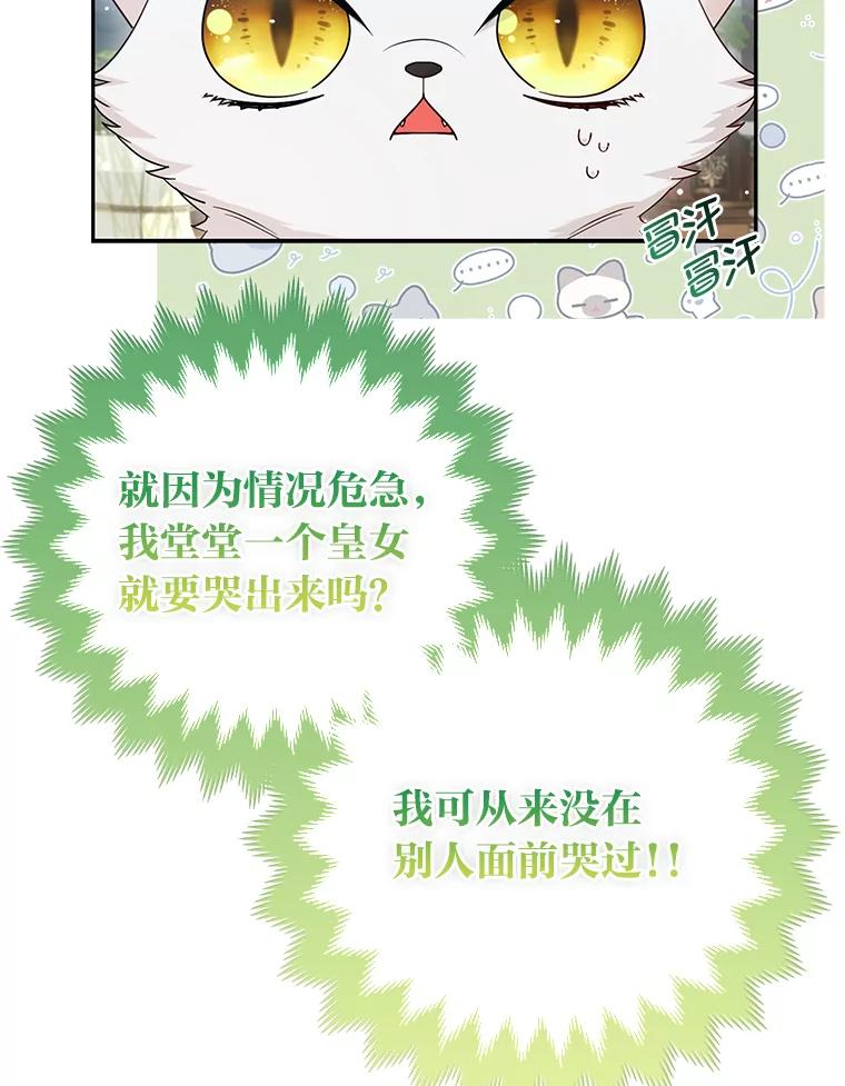 《大公家的狐狸皇女》13.宴会前的准备 第19页