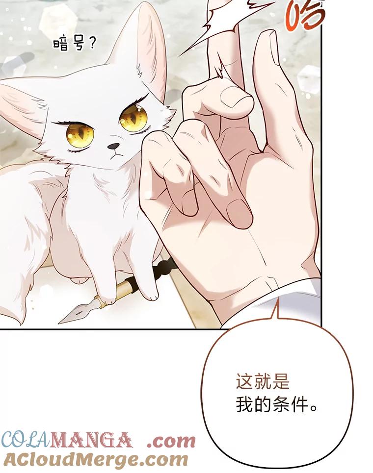 《大公家的狐狸皇女》13.宴会前的准备 第13页