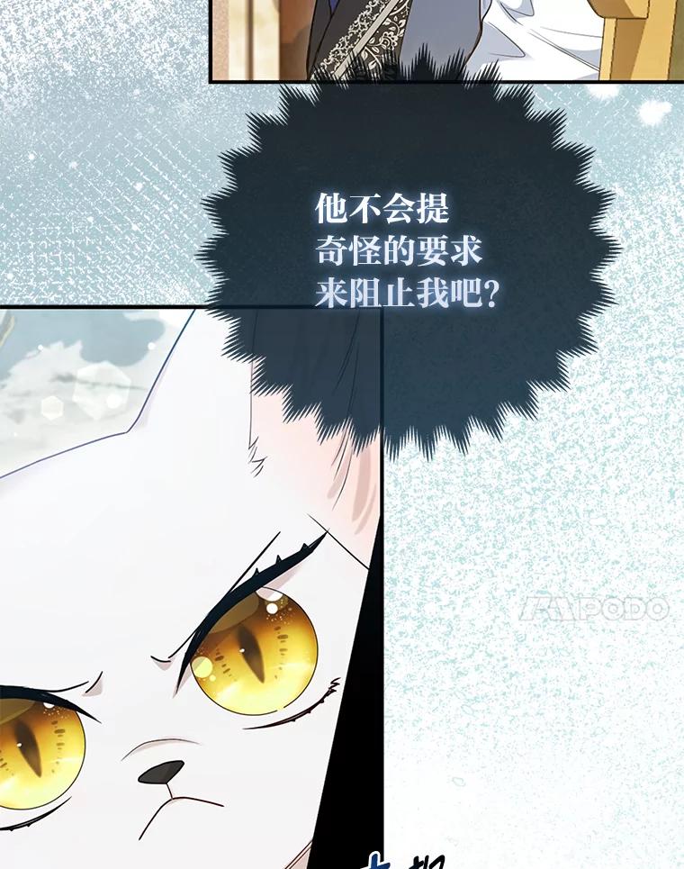 《大公家的狐狸皇女》13.宴会前的准备 第7页