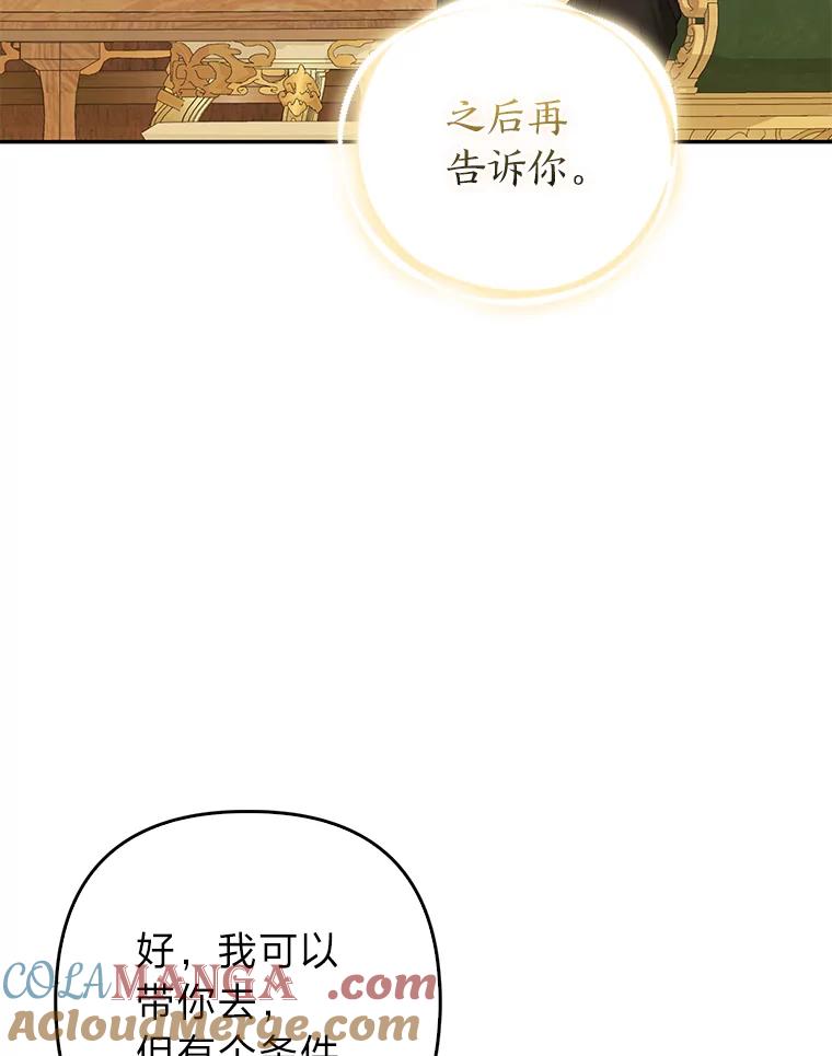 《大公家的狐狸皇女》13.宴会前的准备 第5页