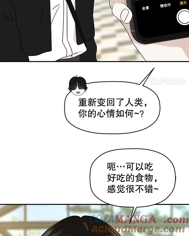 《替吸血鬼吃饭的我》144.攻略你的办法-江岭咖啡和胡桃派 第22页