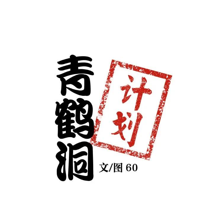 青鹤洞计划 25 第8页