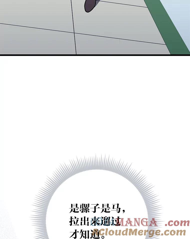 《金色手术刀》32.是骡子是马 第117页