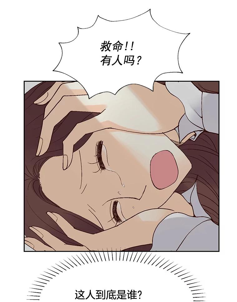 《延夏之心》39.绑架 第39页