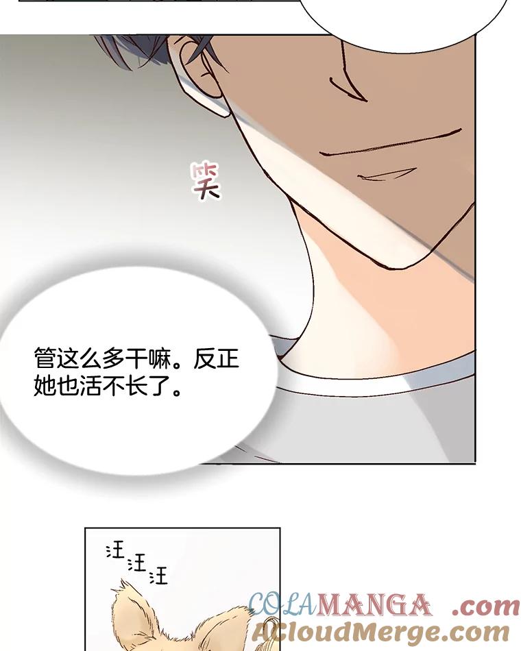 《延夏之心》40.重归于好 第37页