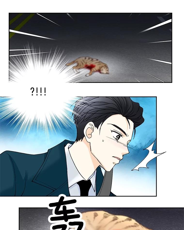 《延夏之心》41.他变得好成熟啊 第75页