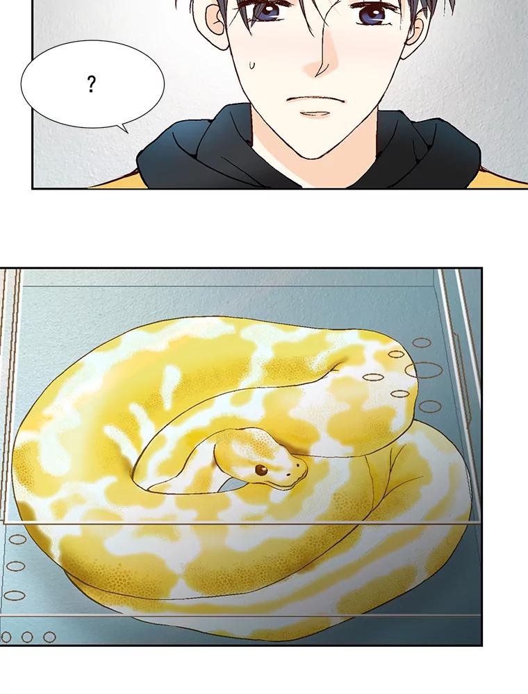 《延夏之心》45.见家长 第77页