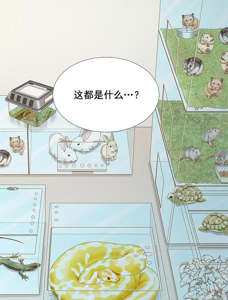 《延夏之心》45.见家长 第75页