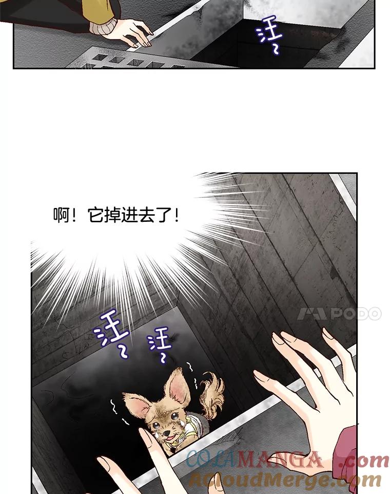 《延夏之心》46.糟糕，我好像喜欢上她了 第40页