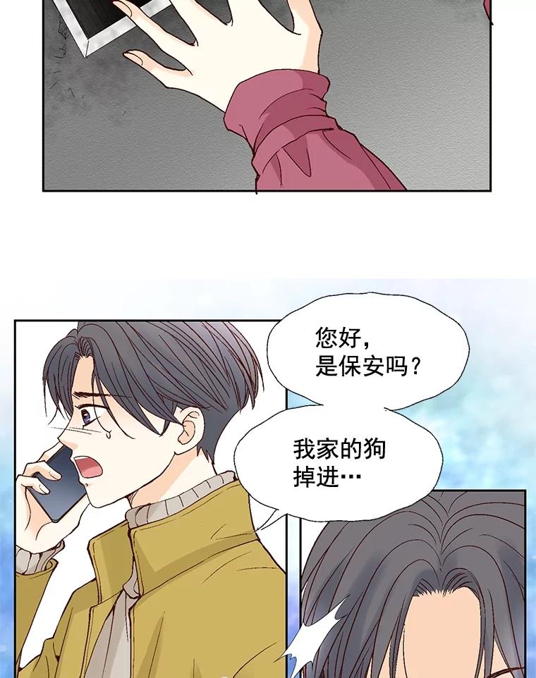 《延夏之心》46.糟糕，我好像喜欢上她了 第41页