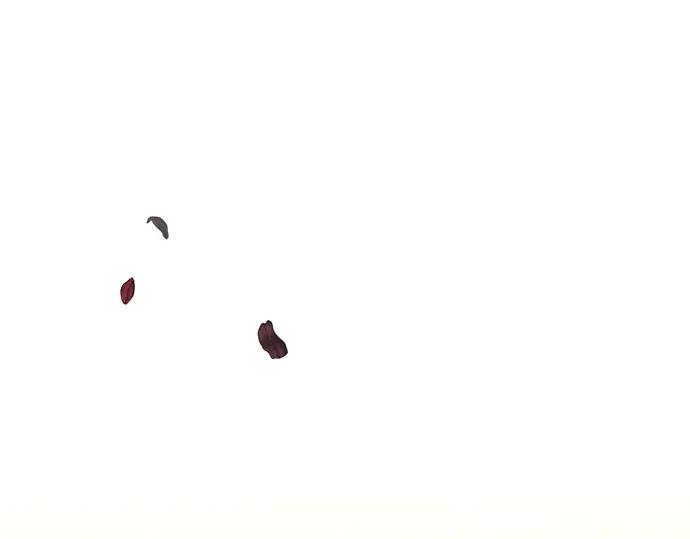《黑暗皇女：雅什泰洛迪》第44话 第162页