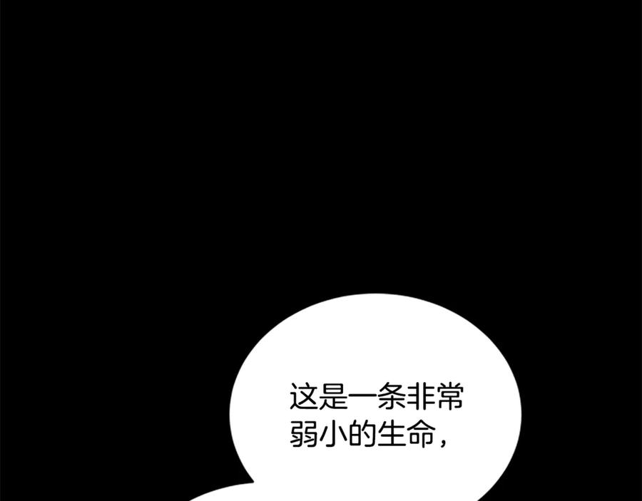 《凡菲尔德的秘密》第24话 幼小的不速之客 第79页