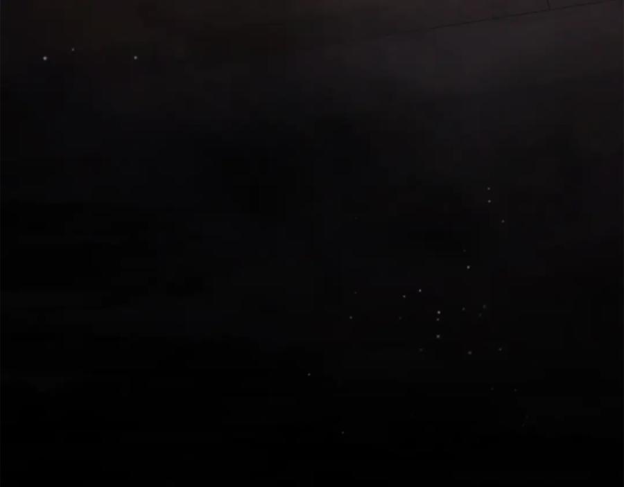 《凡菲尔德的秘密》第24话 幼小的不速之客 第66页