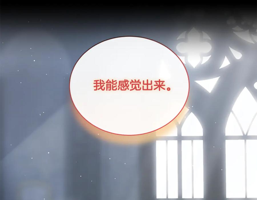《凡菲尔德的秘密》第24话 幼小的不速之客 第119页