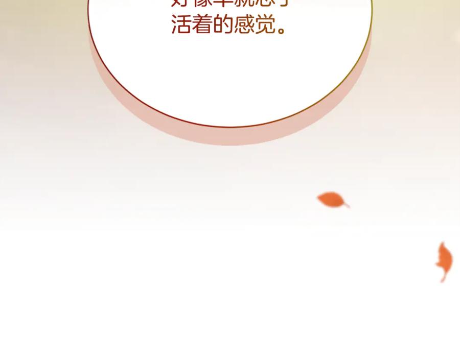 《凡菲尔德的秘密》第25话 陌生的喜悦 第203页