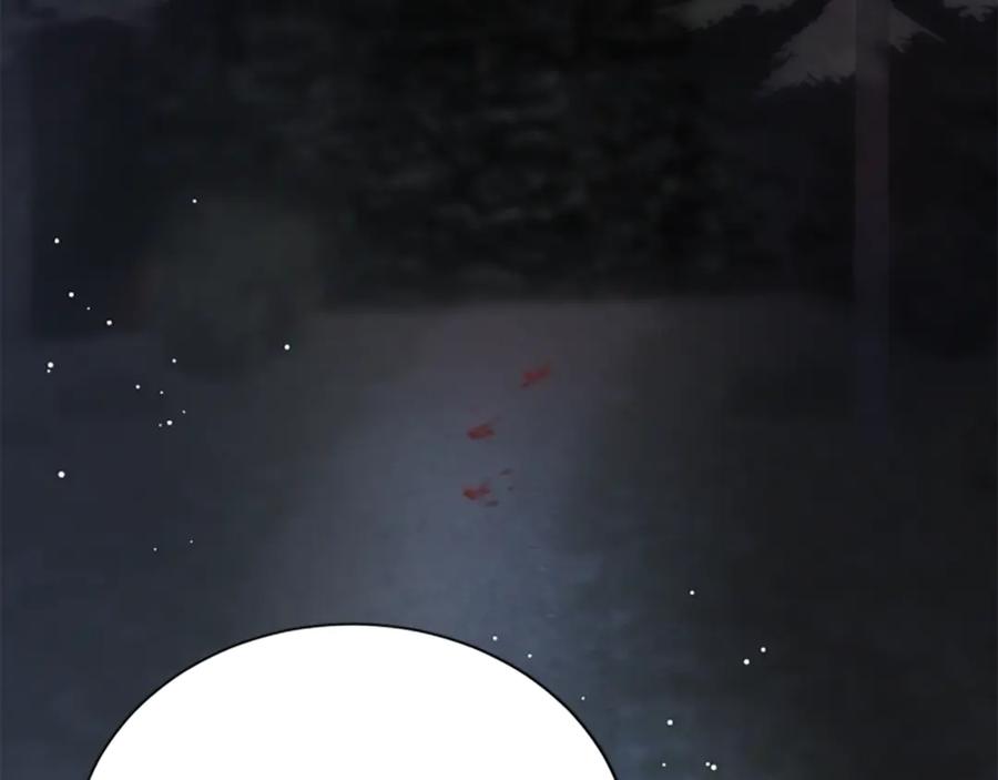 《凡菲尔德的秘密》第31话 营救行动 第184页