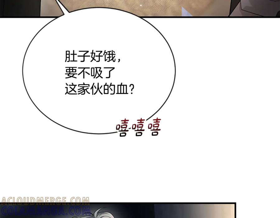 《凡菲尔德的秘密》第31话 营救行动 第121页