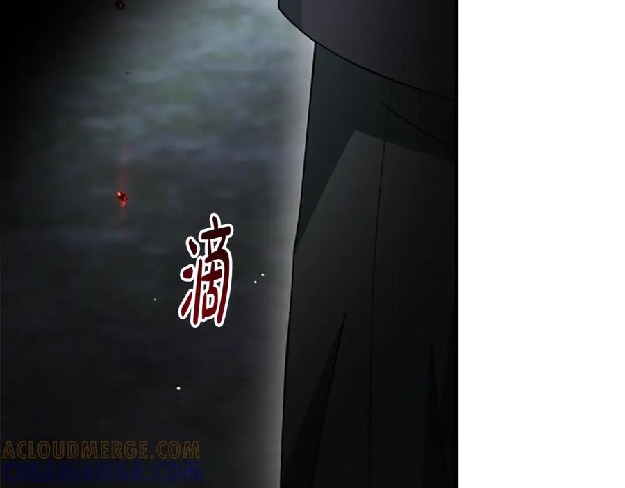 《凡菲尔德的秘密》第31话 营救行动 第173页