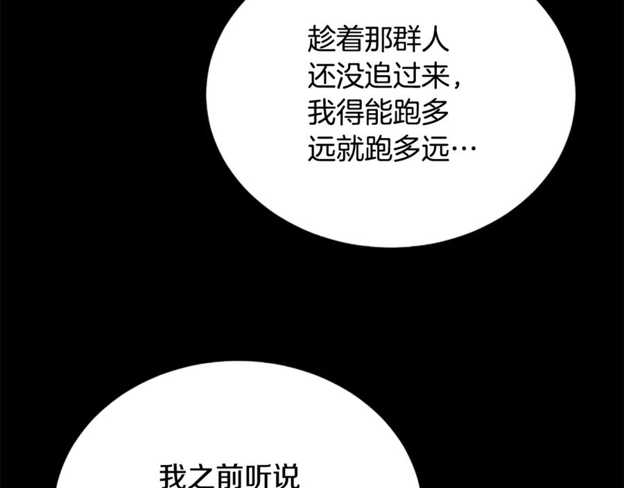 《凡菲尔德的秘密》第31话 营救行动 第218页