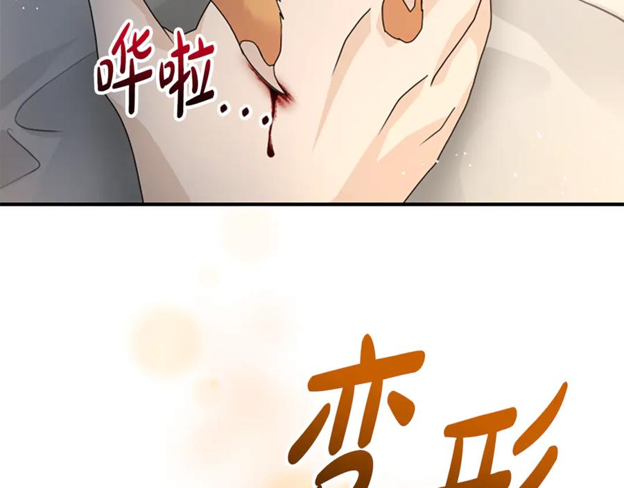 《凡菲尔德的秘密》第32话 梦的连接 第207页