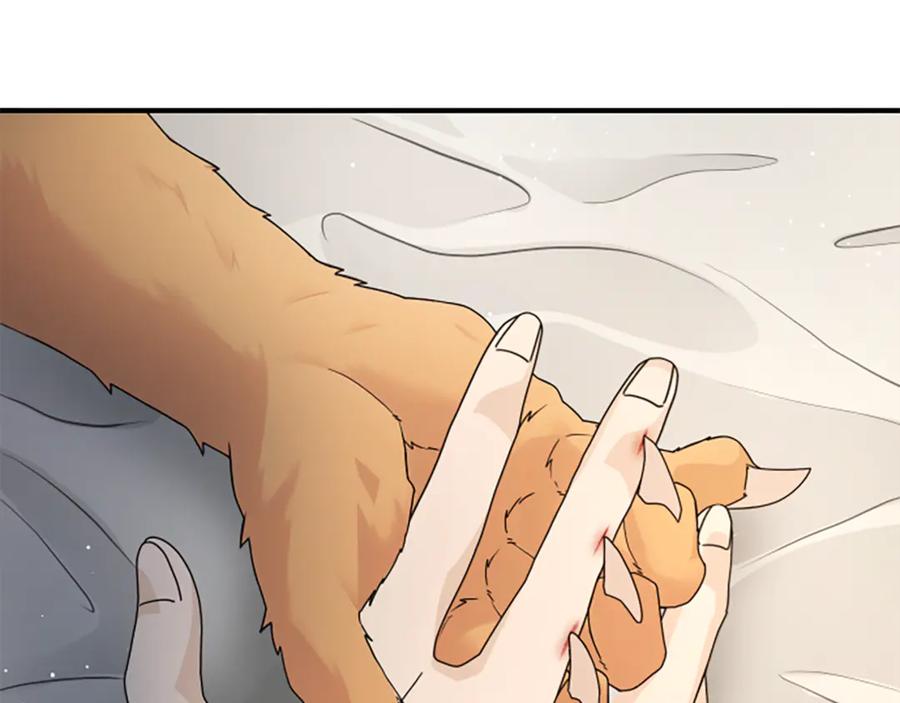 《凡菲尔德的秘密》第32话 梦的连接 第206页