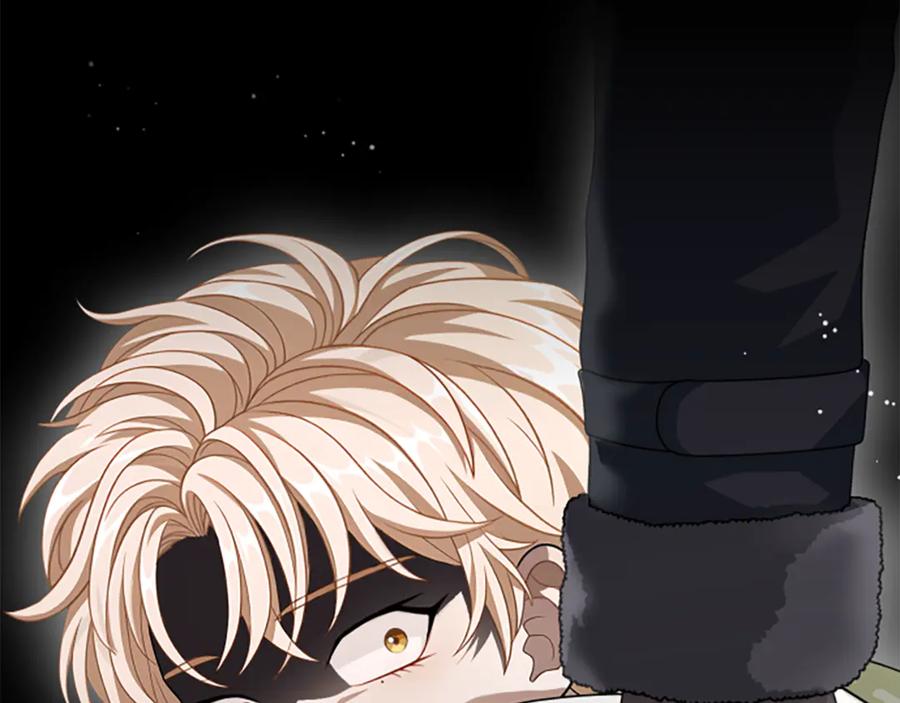 《凡菲尔德的秘密》第35话 虚幻的梦境 第64页