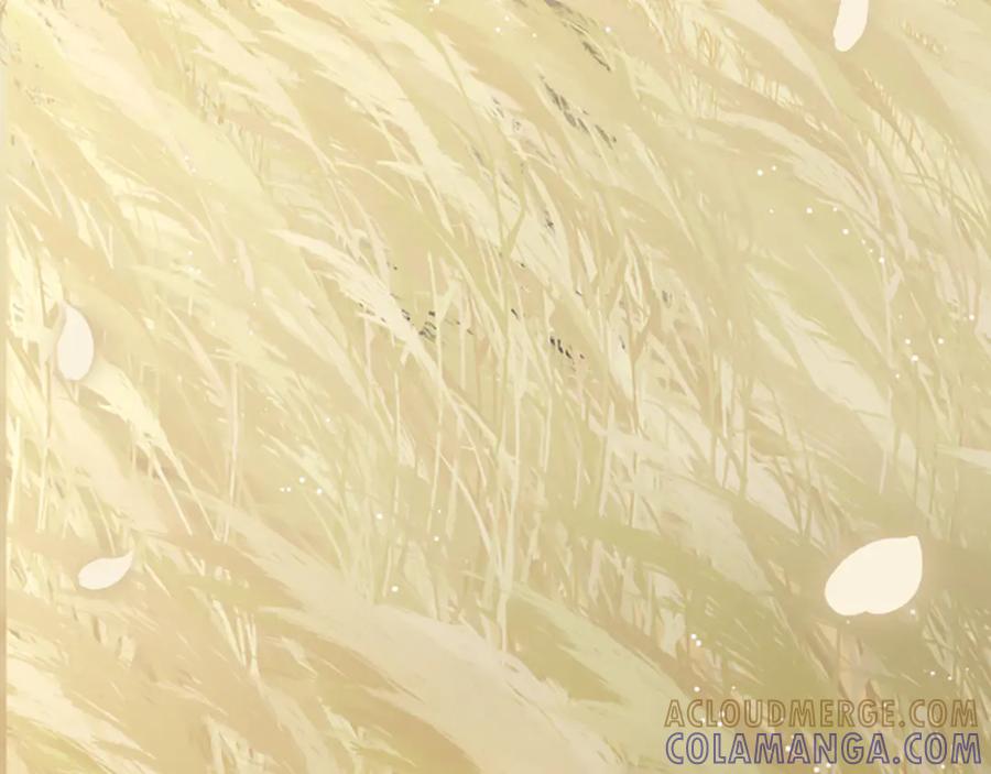 《凡菲尔德的秘密》第35话 虚幻的梦境 第9页