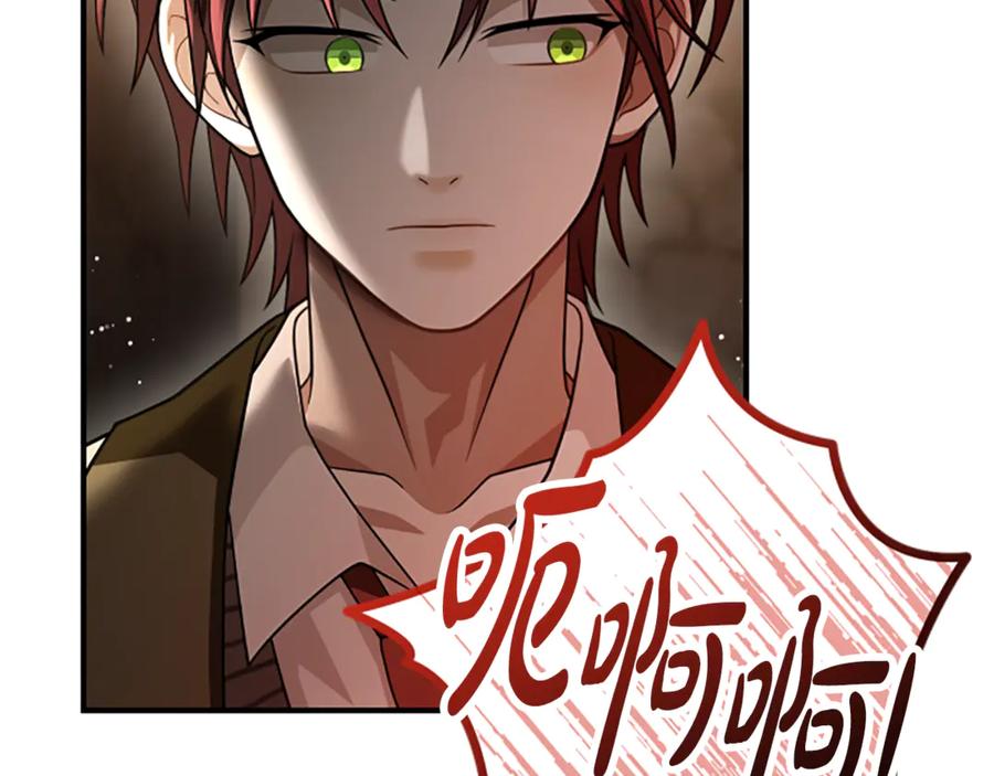 《凡菲尔德的秘密》第35话 虚幻的梦境 第259页