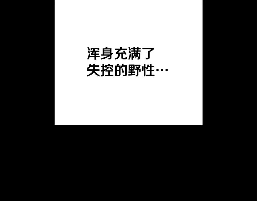 《凡菲尔德的秘密》第37话 缥缈的希望 第38页