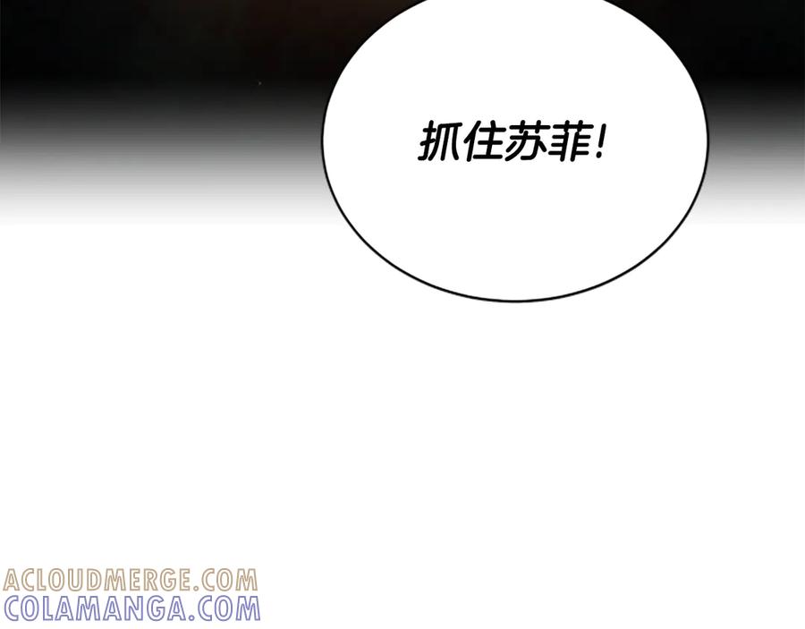 《凡菲尔德的秘密》第37话 缥缈的希望 第165页