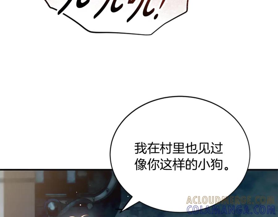 《凡菲尔德的秘密》第37话 缥缈的希望 第85页