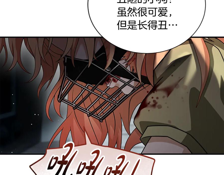 《凡菲尔德的秘密》第37话 缥缈的希望 第84页