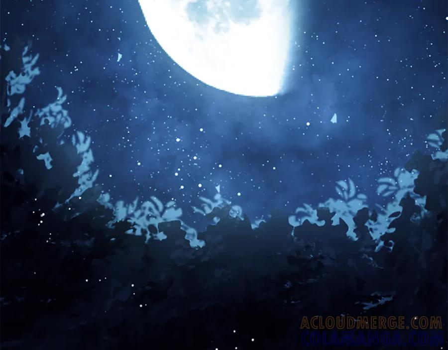 《凡菲尔德的秘密》第37话 缥缈的希望 第5页