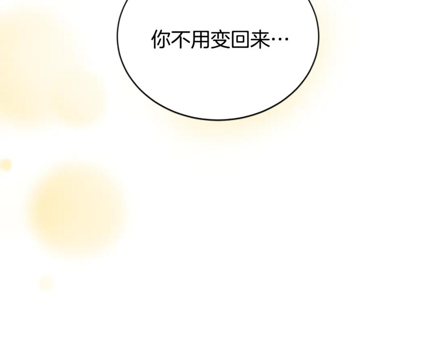 《凡菲尔德的秘密》第37话 缥缈的希望 第95页