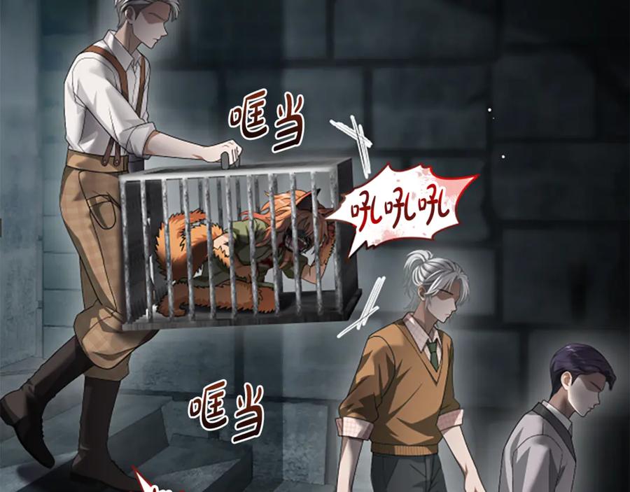 《凡菲尔德的秘密》第37话 缥缈的希望 第55页
