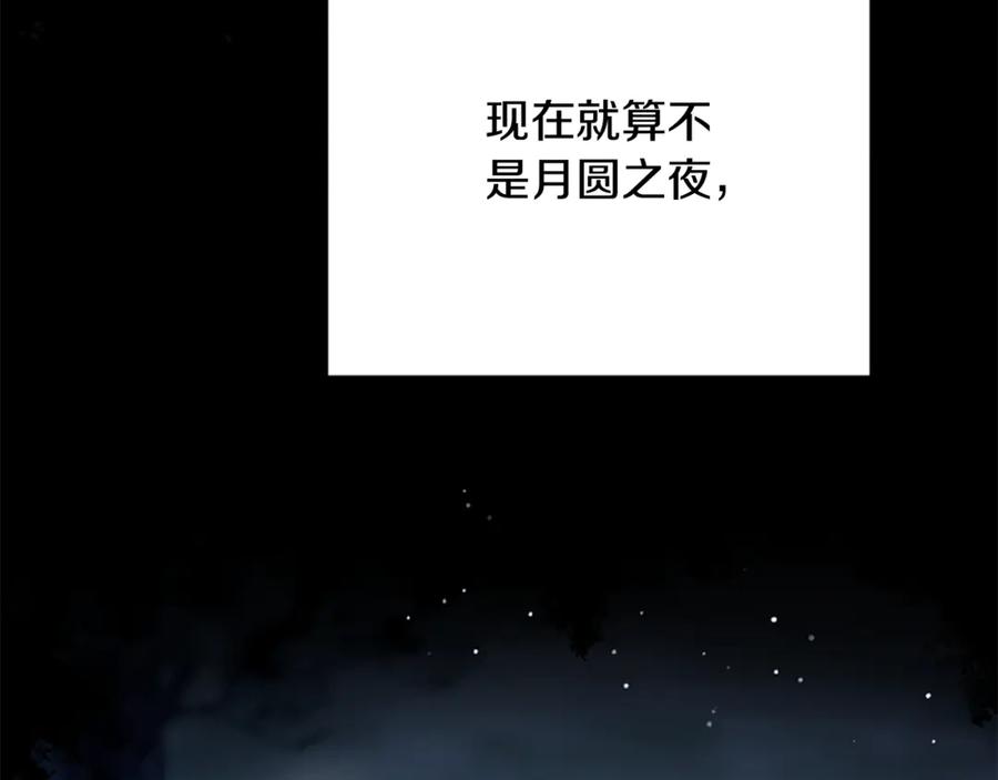 《凡菲尔德的秘密》第37话 缥缈的希望 第15页