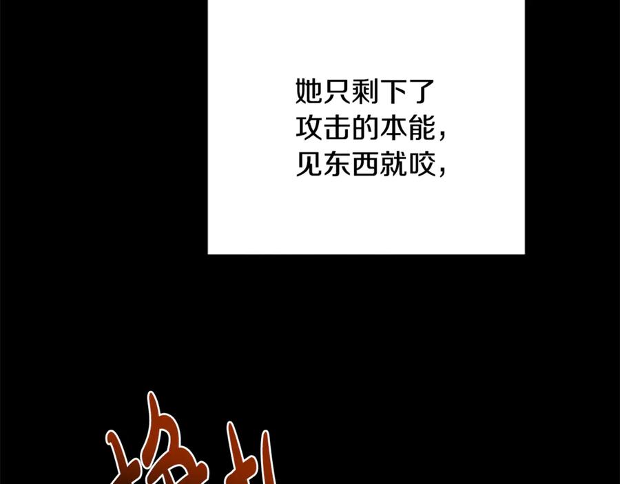 《凡菲尔德的秘密》第37话 缥缈的希望 第31页