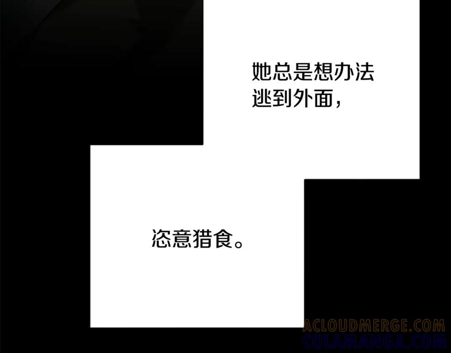 《凡菲尔德的秘密》第37话 缥缈的希望 第21页